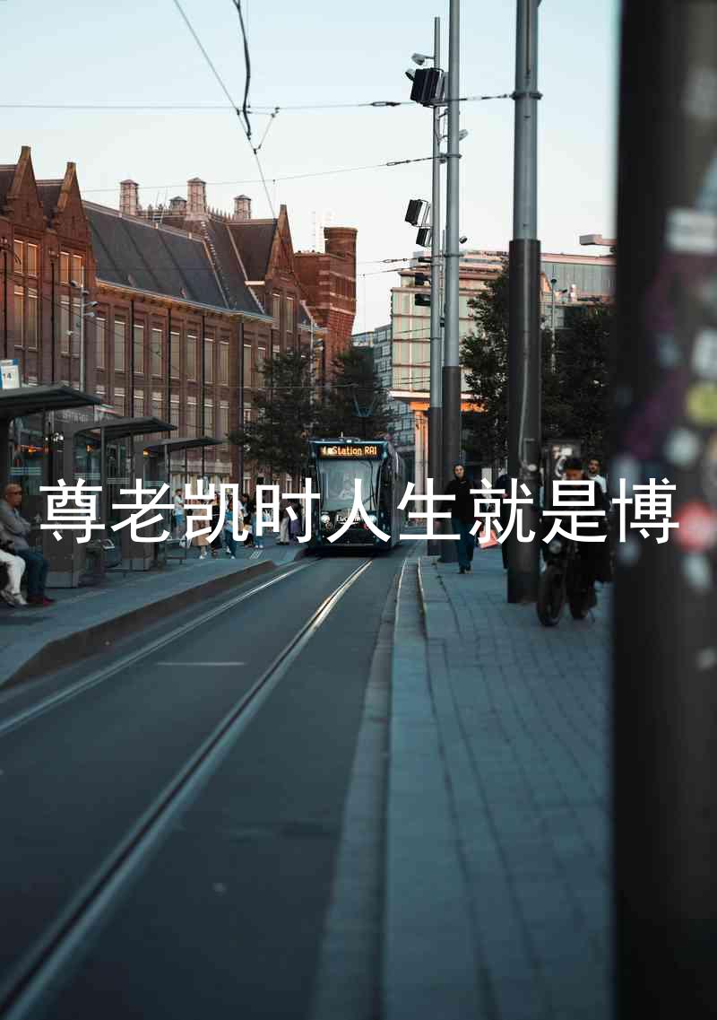 尊老凯时人生就是博