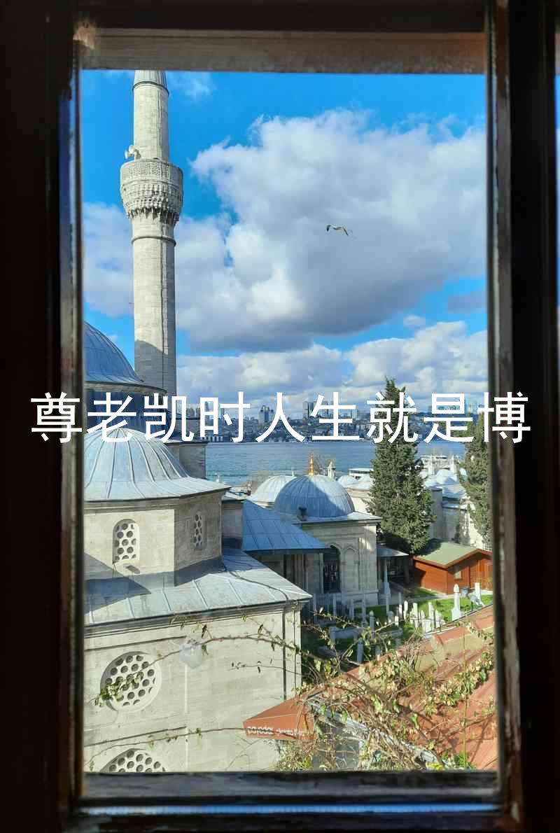 尊老凯时人生就是博